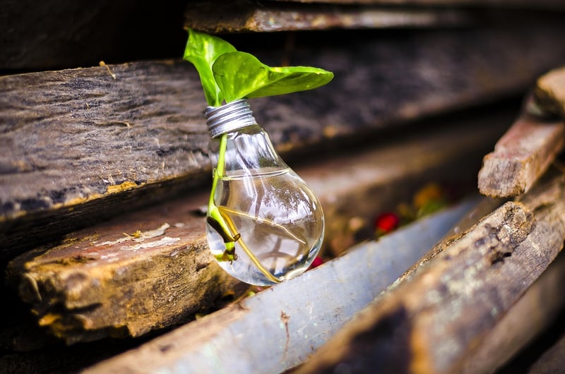 Innovative upcycles